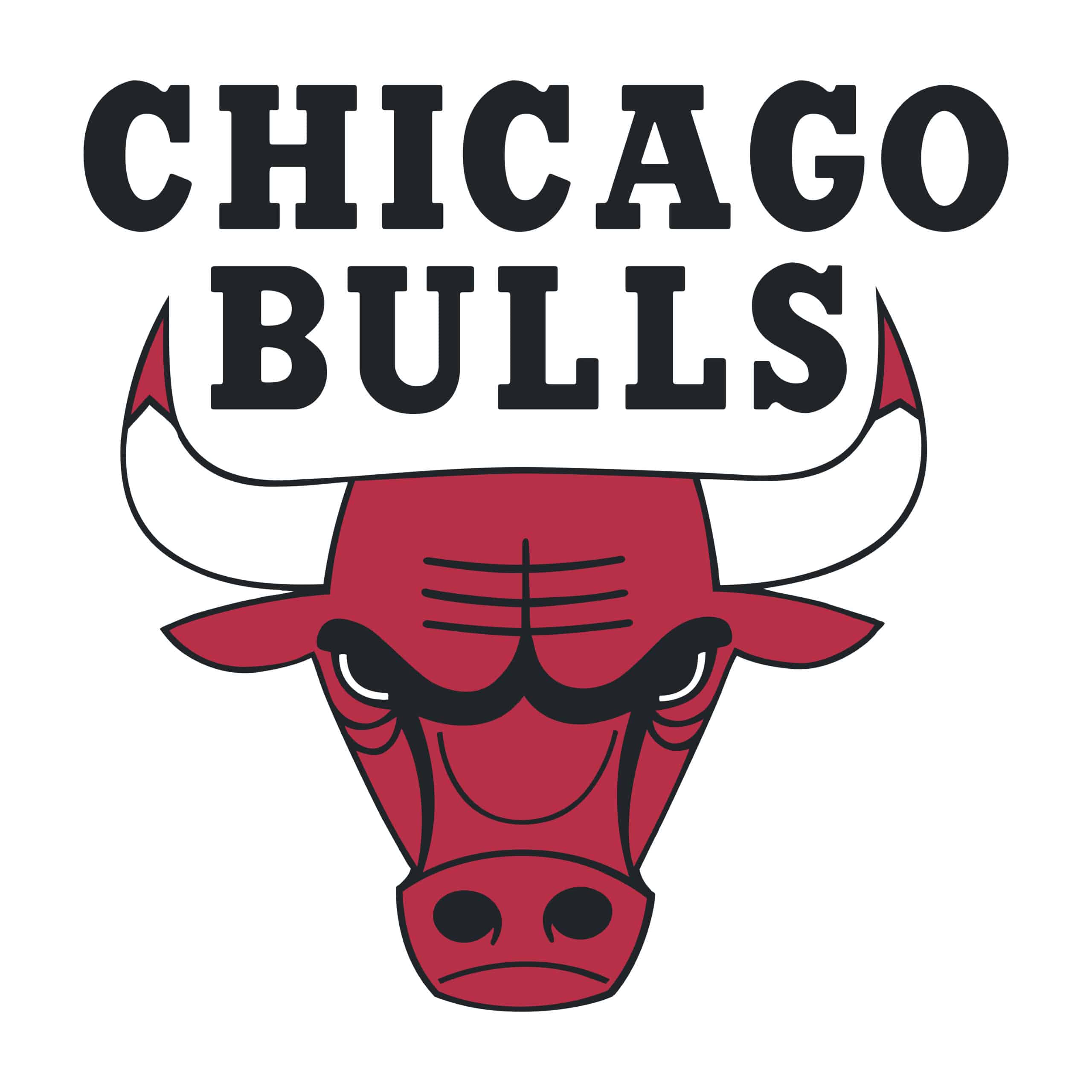 Chicago Bulls logo featuring a red bull's head with black and white accents, under bold black text that reads "CHICAGO BULLS" on a white background.